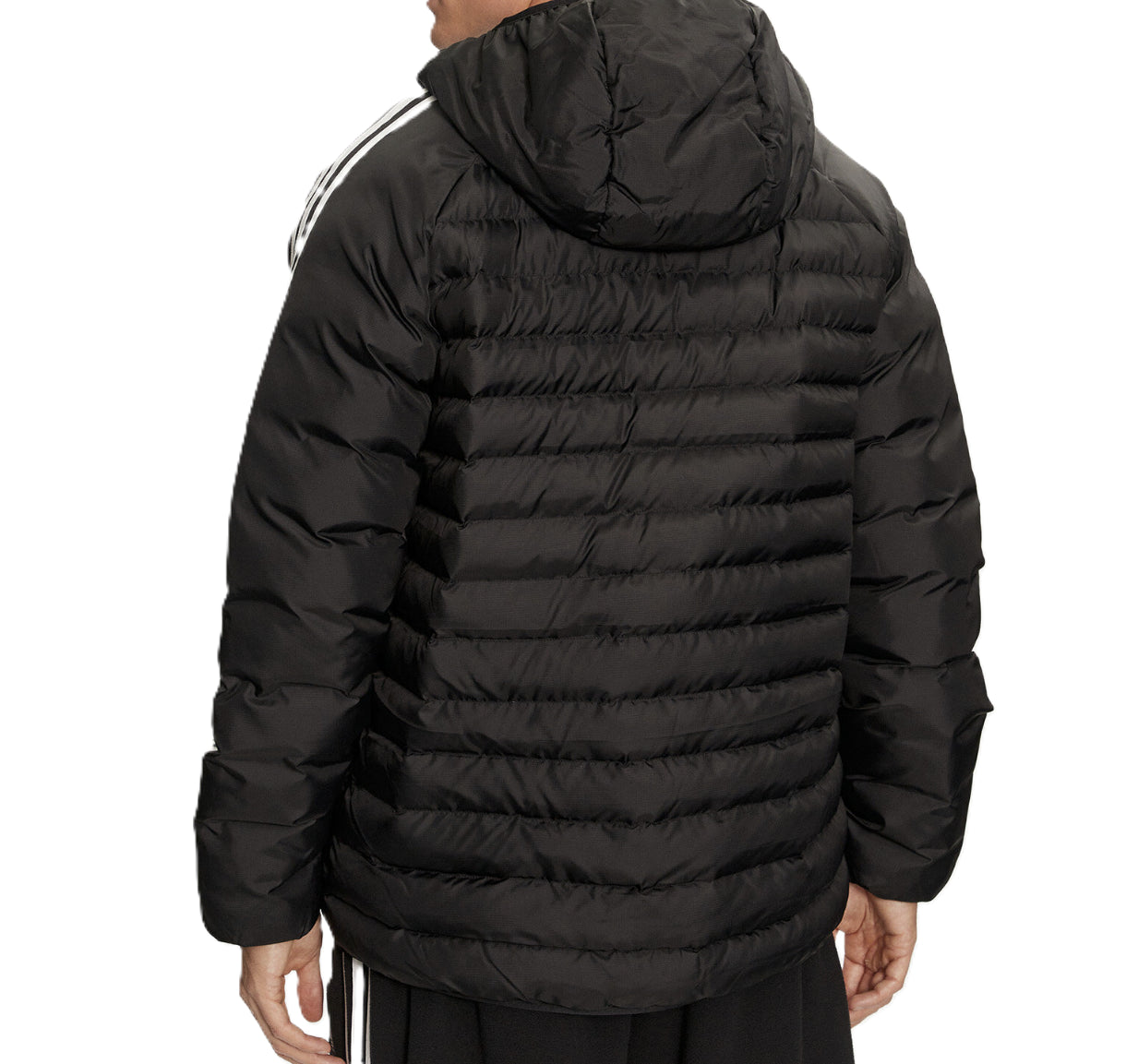 adidas originals PAD HOODED JKT - Giubbino