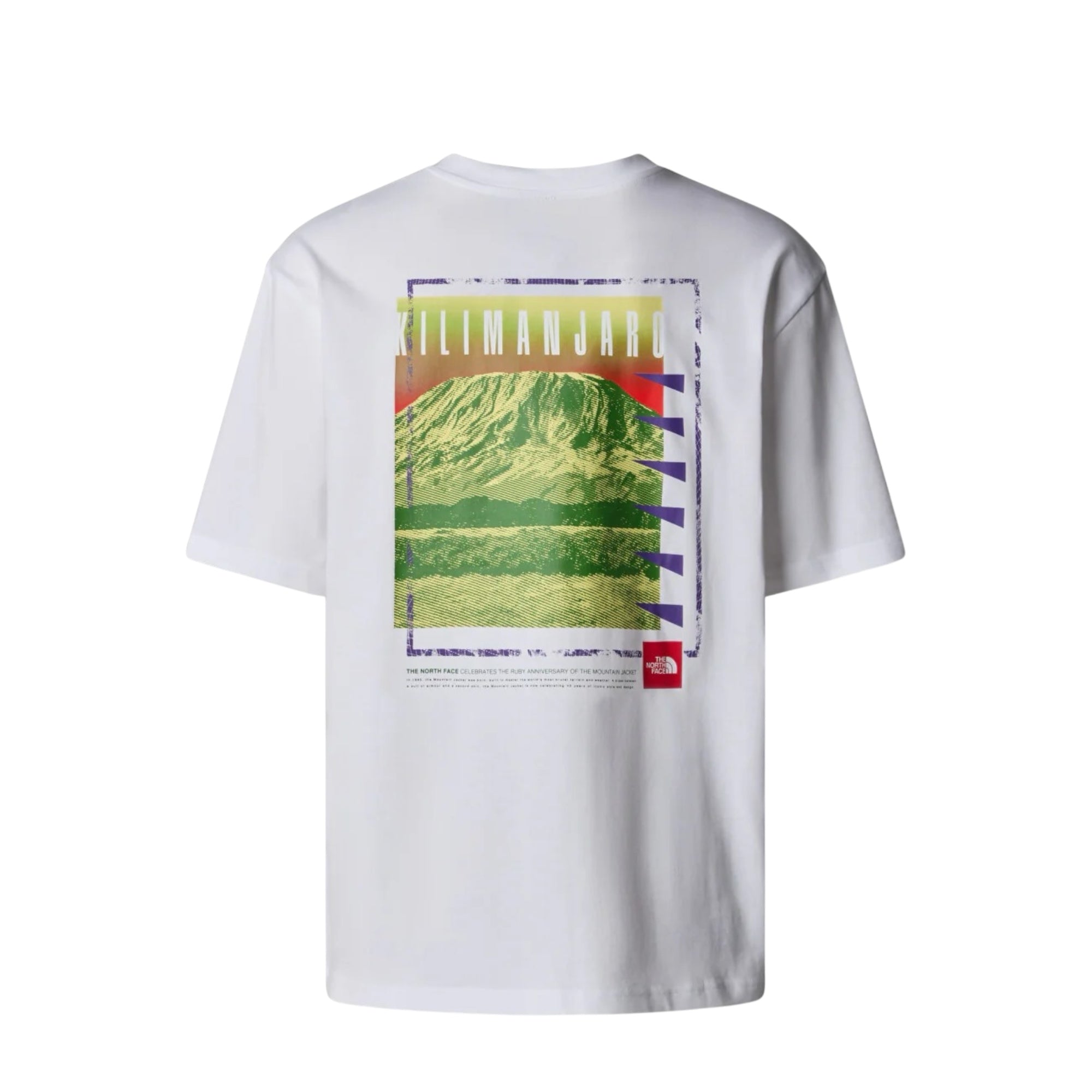 The North Face Axys Oversized S/S Tee Unisex WHITE NF0A8C1RFN41 - T-shirt