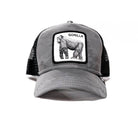 Goorin bros Baseball cap - Argento / Taglia Unica - Cappelli