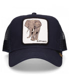 Goorin bros Elephant - Blu / Taglia Unica - Cappelli