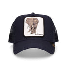 Goorin bros Elephant - Cappelli