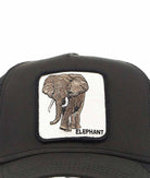 Goorin bros Elephant - Nero / Taglia Unica - Cappelli